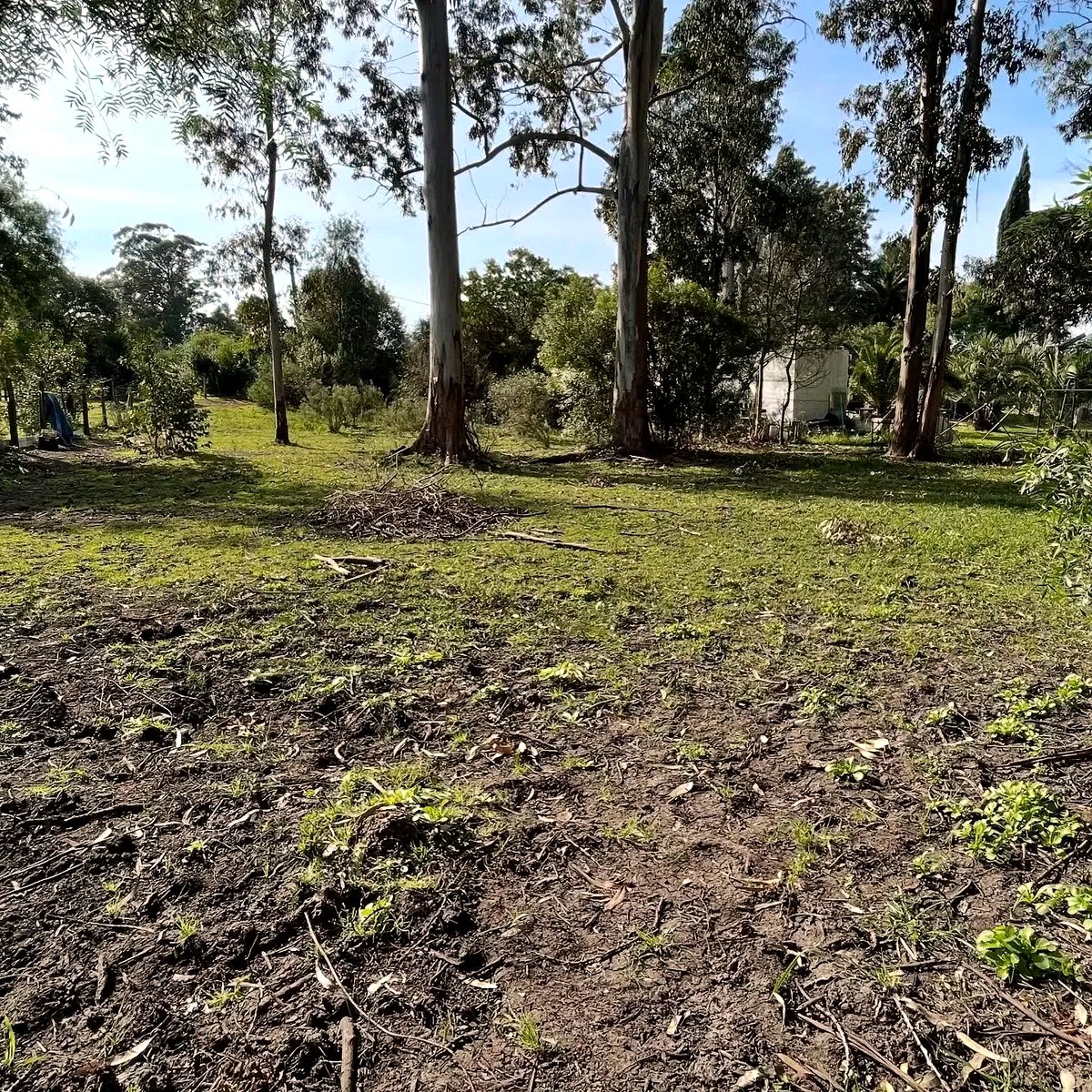 Terreno de 2000m en Brío Solís