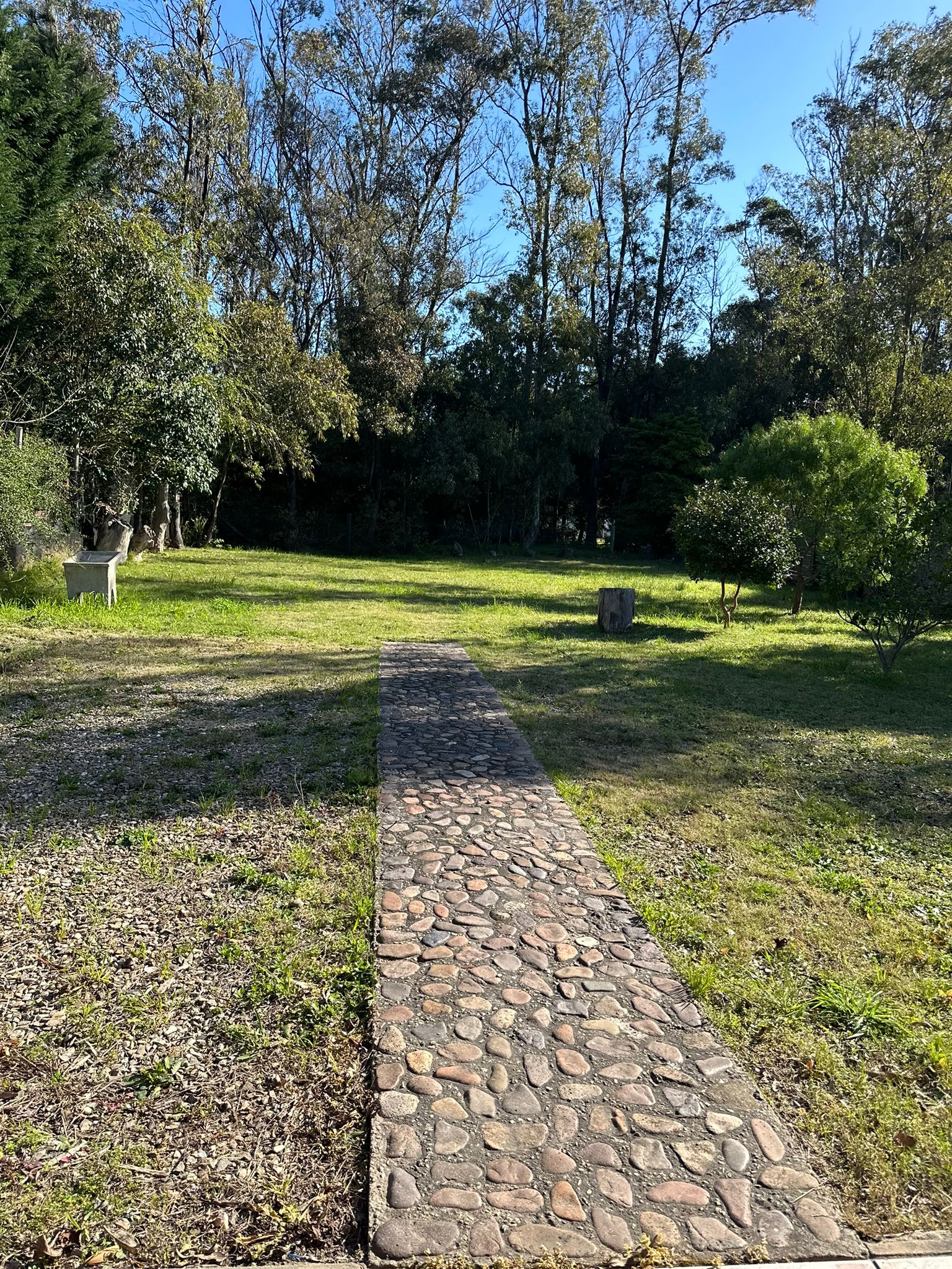 BELLA VISTA VENTA 