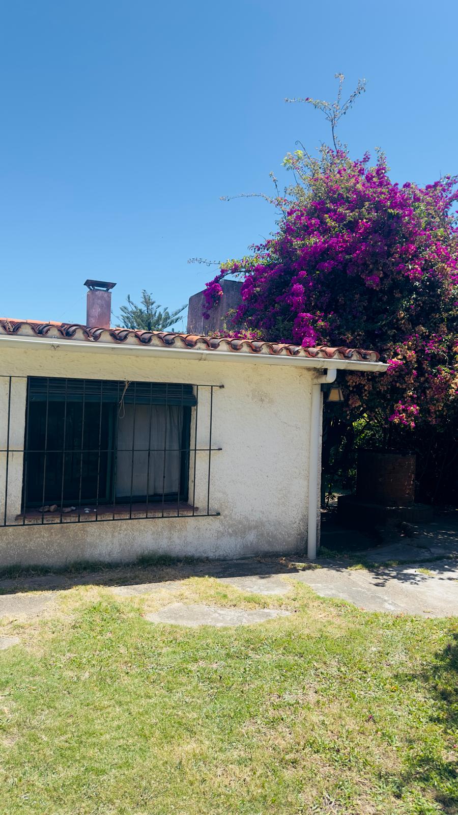 Blaneario Las Flores 