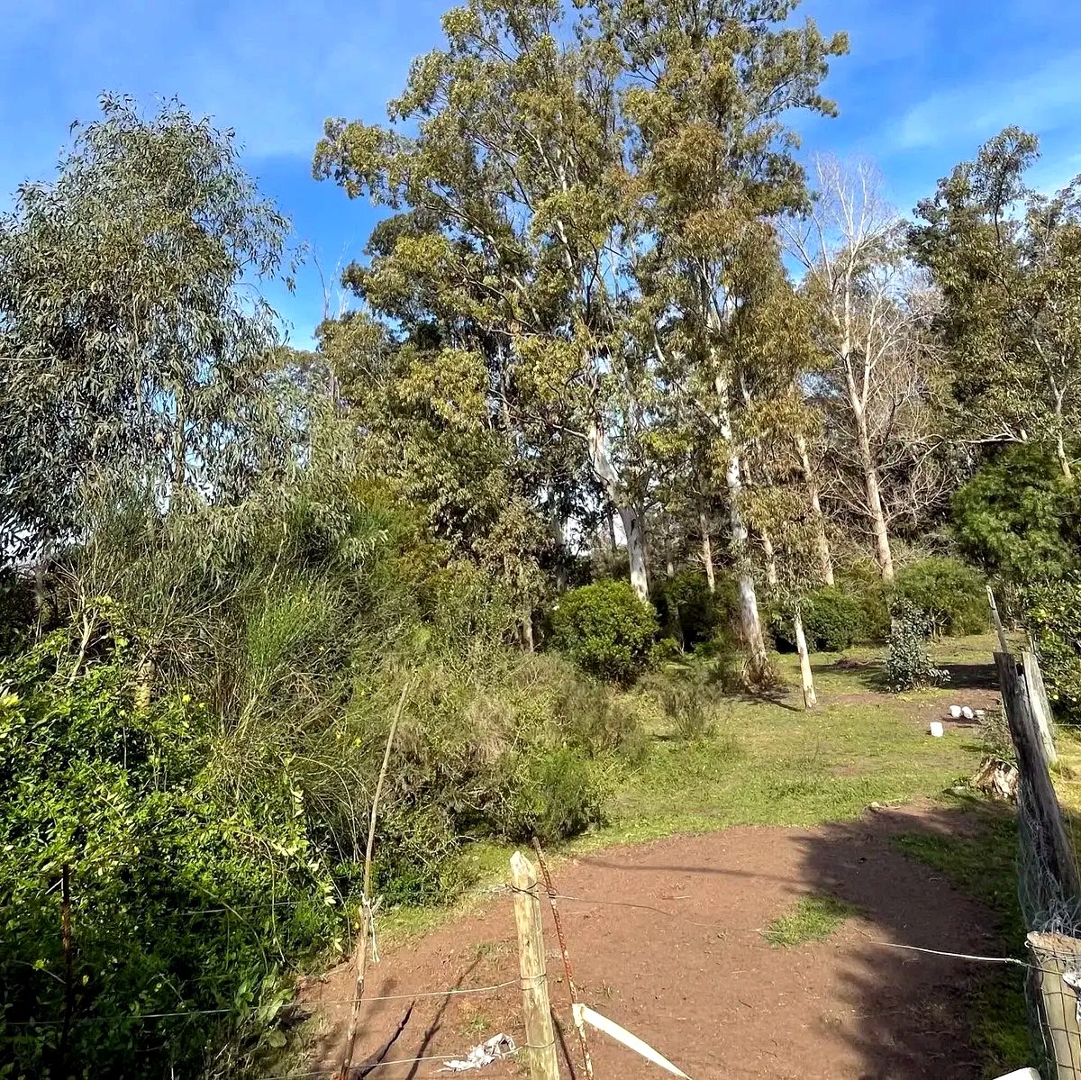 Terreno de 2000m en Brío Solís