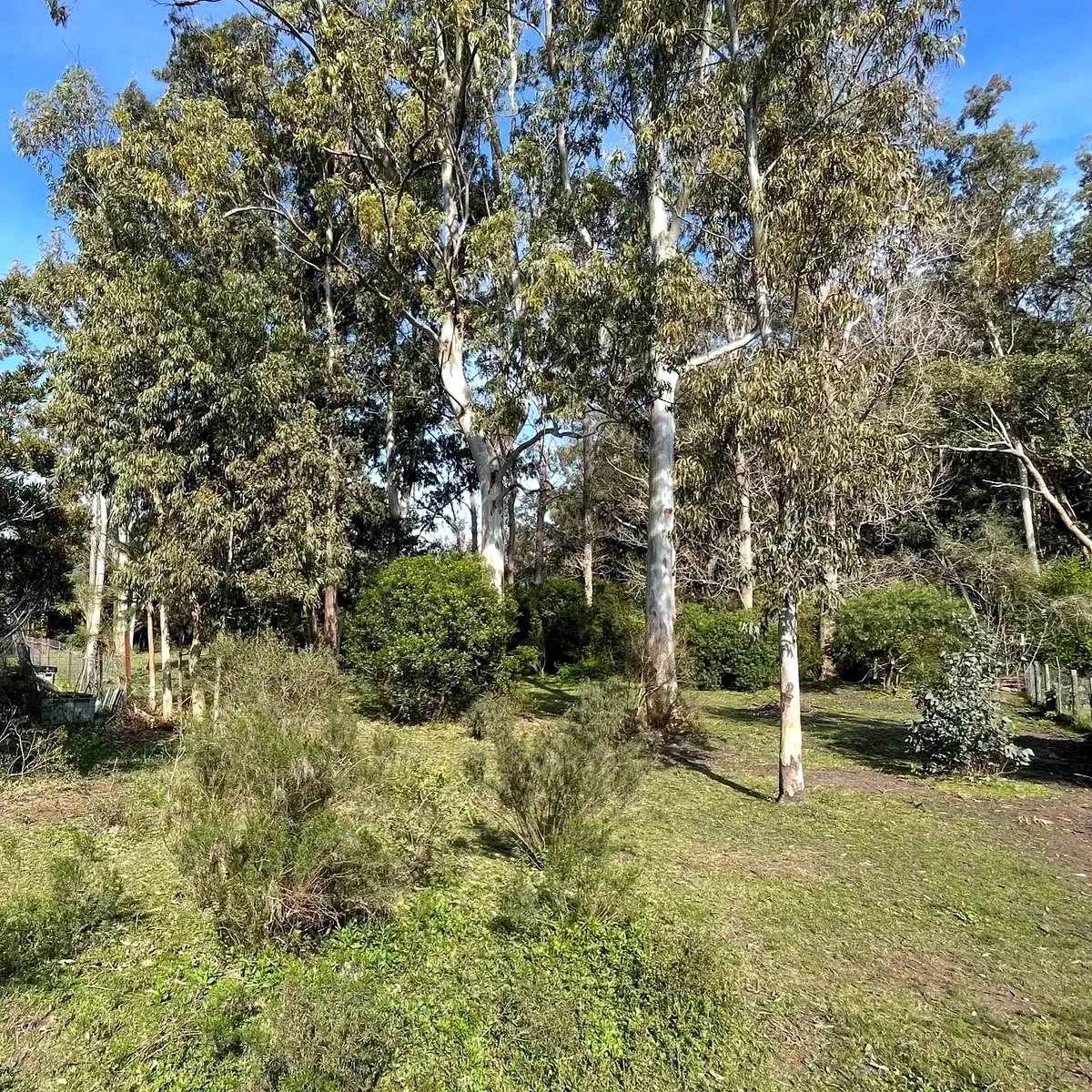 Terreno de 2000m en Brío Solís