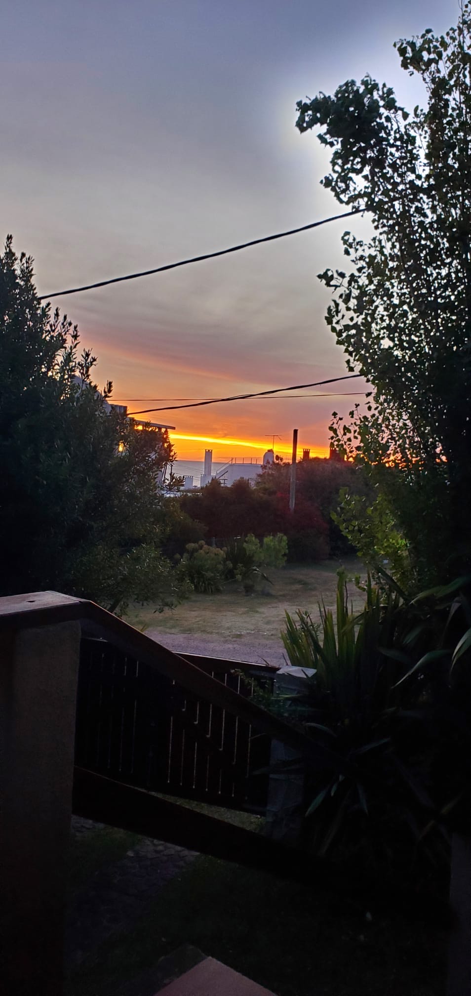 A 50m del mar, Las Flores