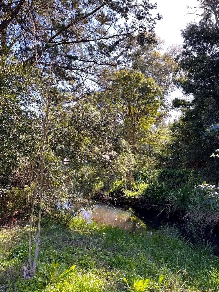 Terreno de 2000m en Brío Solís