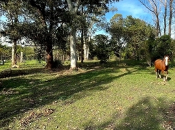Terreno de 2000m en Brío Solís